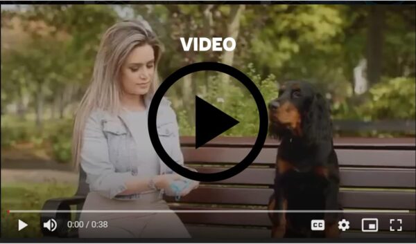 Palm Safe Blueberry Alcohol Hand Sanitiser 500 ml Pump Bottle - Image 8