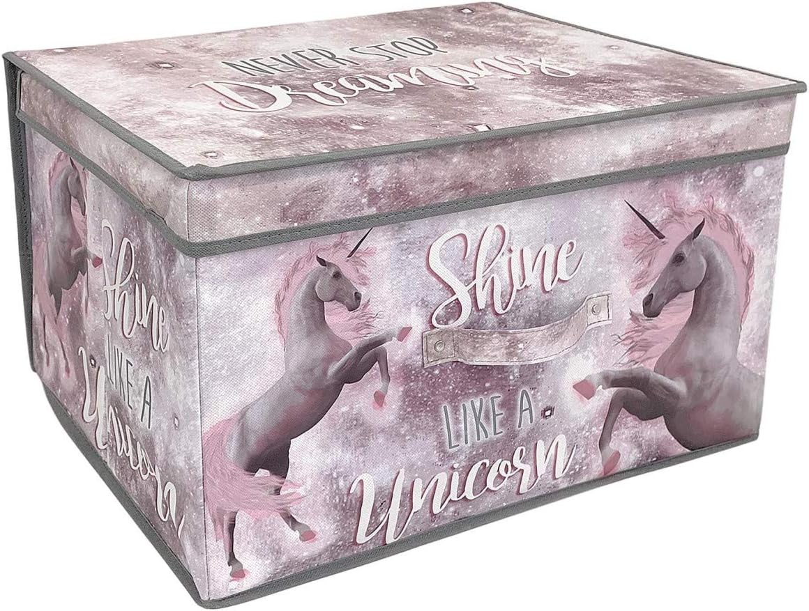 1740736876_71XjQ29ECeL._AC_SL1200_.jpg Country Club Unicorn Jumbo Storage Chest, Large 124022094 - Image 1