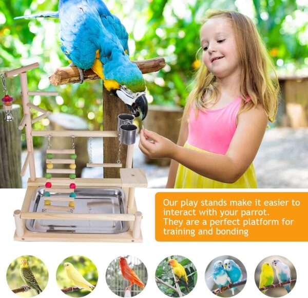Holzsammlung Wooden Bird Parrot Play Stand/Playground/Gym/Activity Center/Toy Set,with Perches, Ladders, and Swing,for Eclectus Sun Conure Scarlet Macaw Cockatoo Monk Parakeet Quaker-B09 - Image 3