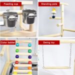 Holzsammlung Wooden Bird Parrot Play Stand/Playground/Gym/Activity Center/Toy Set,with Perches, Ladders, and Swing,for Eclectus Sun Conure Scarlet Macaw Cockatoo Monk Parakeet Quaker-B09 - Image 6