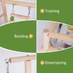Holzsammlung Wooden Bird Parrot Play Stand/Playground/Gym/Activity Center/Toy Set,with Perches, Ladders, and Swing,for Eclectus Sun Conure Scarlet Macaw Cockatoo Monk Parakeet Quaker-B09 - Image 7