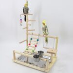 Holzsammlung Wooden Bird Parrot Play Stand/Playground/Gym/Activity Center/Toy Set,with Perches, Ladders, and Swing,for Eclectus Sun Conure Scarlet Macaw Cockatoo Monk Parakeet Quaker-B09 - Image 8