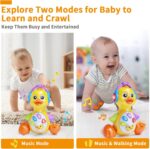 Yerloa Baby Toys 6 to 12 Months Gifts Christmas Birthday Present, Musical Duck Light Up Crawling Toys for Babies 6-12 0-6 Months Sensory Tummy Time Sound Toys for 7 8 9 10 11 Month 1 Year Old Boy Girl - Image 2