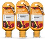 MangoPalm Safe Mango 3 Pack 60ml Anti Bacterial Premium Hand Sanitiser Travel Size Refillable Clip Bottle Quick Drying Non Sticky Extra Moisturising Kills 99.9% of Viruses and Bacteria