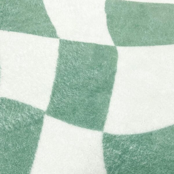USTIDE Green Checkered Rug Indoor Area Rug Fluffy Rug for Girls Boys Room Cute Green Rugs for Bedroom Living Room Nursery Room Teen Dorm, 120x180cm - Image 4
