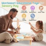 Kids Drum Set, All-in-One Montessori Musical Instruments for Toddlers 1-3, Wooden Musical Toys for Baby 12-18 Months, Preschool Educational Xylophone Drum Kit, Birthday Gift for Boys Girls - Image 4