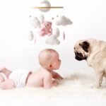 FROVOL Baby Crib Mobile For Boys Girls, Boho Nursery Baby Mobile For Crib, Cute Bear Velvet Rotated Hangi Decor, Nursery 360° - Image 5