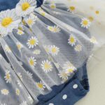 Loalirando Toddler Baby Girl Summer Romper Dress Fly Sleeve Daisy Flower Embroidery Mesh Tulle Tutu Dresses Bodysuit with Headband - Image 6