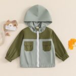Himllauen Toddler Boys Hoodies Coat Autumn Winter Long Sleeve Contrast Color Zip Up Hooded Jackets Baby Outwear - Image 2