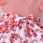 Baby Girl Dress Ruffle Short Sleeve with Floral Print for Infant Girl Summer Princess Dress - Image 3