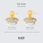 BIBS Colour Night Glow in The Dark Soother 2-Pack, BPA Free Dummy Pacifier, Round Nipple. Natural Rubber Latex, Made in Denmark, Size 3 (18+ Months), Black Glow/Vanilla Glow - Image 2