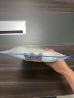 Bambebe Baby Head Protection Pillow Head Protection Backpack Safety Pads Adjustable Size Baby Head Protector for 4-24 Months Toddler Baby Safety Helmet Baby Harness Baby Walking(Turtle) - Image 13