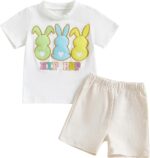 PanLidapan Baby Boys Easter Outfits Summer Clothes Short Sleeve Bunny Print T-Shirt Shorts Toddler 2 Piece Clothes Set Shorts Set Tracksuit