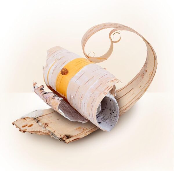 Pantene Pro-V Frizz SOS Hair Shake Leave-in Hair Care Spray with Birch 150 ml - Image 3