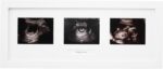 Baby Scan Photo Frame. Optional Personalisation. Multi Aperture Frame to display Three Ultra sound photos. Landscape. Pregnancy announcment | Baby Shower | Keepsake (White Frame)
