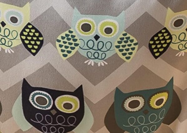 Evenflo Exersaucer Door Jumper, Owl - Image 3