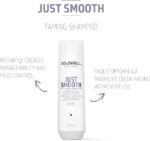 Goldwell Dualsenses Just Smooth Taming Shampoo 250ml - Image 2