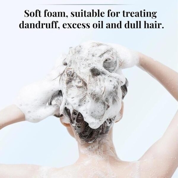 Nipori Shampoo - Hair Care Shampoo Oil Control Refreshing Anti-Dandruff Cleansing for Men and Women, 300ml (1) - Image 3