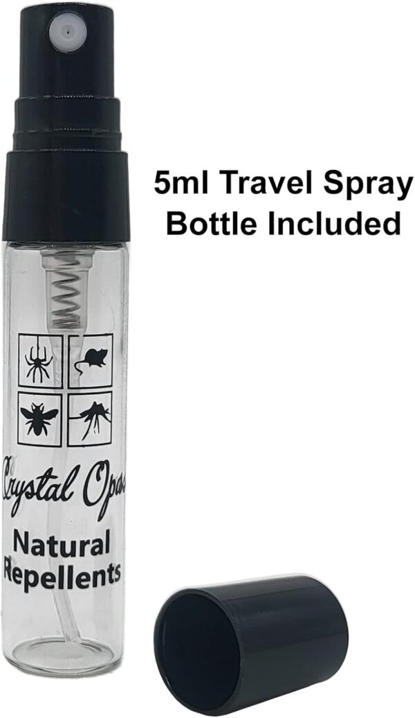 Rodent, Spider & Insect Repellent. Makes 30+ litres. Safe for Kids & Pets. Stops 100s of Pests & Bugs. 100% Natural Peppermint, Lavender & Citronella Essential Oil. Humane, Ultra-Effective & Safe. - Image 5