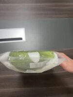 Bambebe Baby Head Protection Pillow Head Protection Backpack Safety Pads Adjustable Size Baby Head Protector for 4-24 Months Toddler Baby Safety Helmet Baby Harness Baby Walking(Turtle) - Image 12