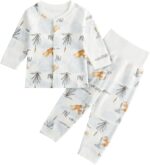 JiAmy Baby Outifts, Girls Pajamas Boys Sleepwears 2pcs Long Sleeves Pjs Tops & Pants Sets, Boys Nightwear Clothes for Toddler 3-18 Months