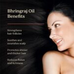 Life & Pursuits Bhringraj Hair Growth Oil 100 ml, Natural Ayurveda Scalp Therapy For Men & Women| Rosemary, Amla, Hibiscus, Tea Tree & Coconut| Reduces Itchiness & Dryness| Nourishes Damaged Hair - Image 3