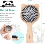 LORSEX Hair Brush Baby Bear Brush for Kids, Mini Travel Hair Brushes with Boar & Nylon Bristle for for Women Men Detangling, Defrizz, Distribute Oil (Original Beech) - Image 5
