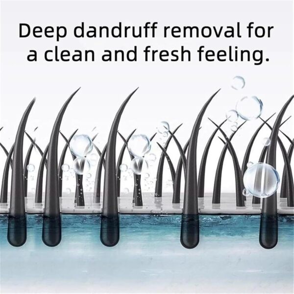 Nipori Shampoo,Nippori Anti-Dandruff,Nipori Conditioner,Hair Care Shampoo Oil Control Refreshing Anti-Dandruff Cleansing for Men and Women,300ml (1pc) - Image 4