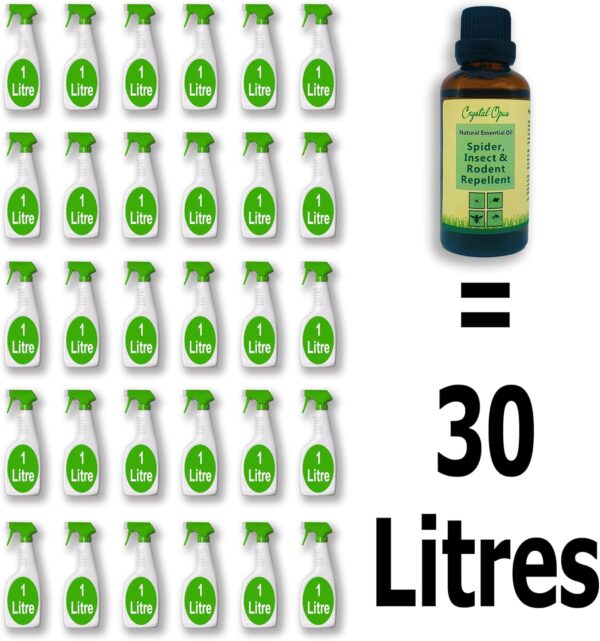 Rodent, Spider & Insect Repellent. Makes 30+ litres. Safe for Kids & Pets. Stops 100s of Pests & Bugs. 100% Natural Peppermint, Lavender & Citronella Essential Oil. Humane, Ultra-Effective & Safe. - Image 3