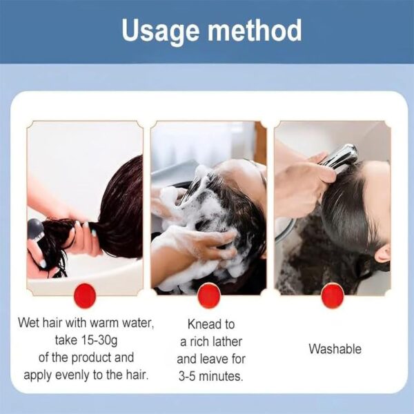 Nipori Shampoo,Nippori Anti-Dandruff,Nipori Conditioner,Hair Care Shampoo Oil Control Refreshing Anti-Dandruff Cleansing for Men and Women,300ml (1pc) - Image 3