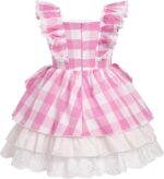 FYMNSI Baby Girls Toddler Kids Retro Pink Gingham Dress with Hair Bows 2pcs Set for Party Pageant Birthday Special Occasion - Image 3