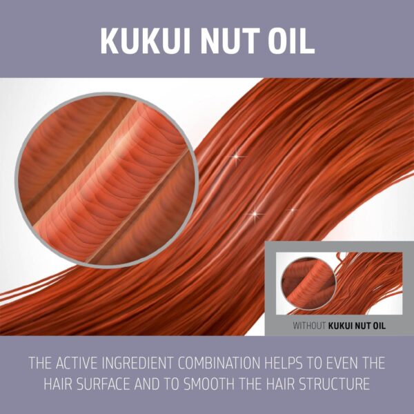 Goldwell Dualsenses Just Smooth Taming Shampoo 250ml - Image 3