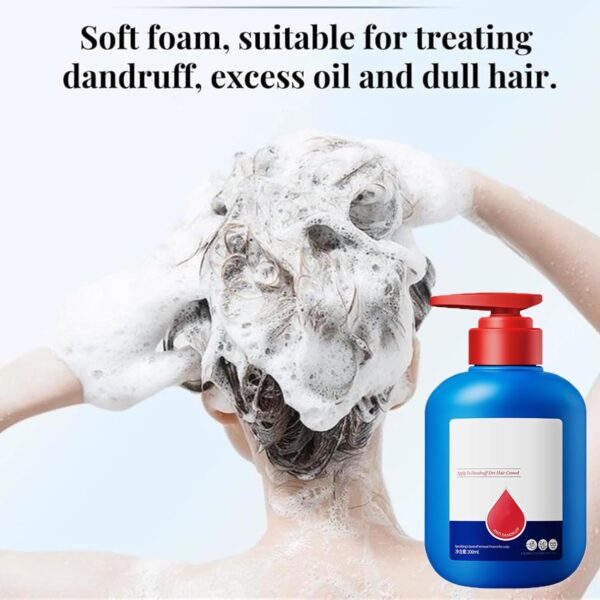 Nipori Shampoo,Hair Care Shampoo Oil Control Refreshing Cleansing for Men and Women (2Pcs) - Image 2