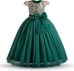 TTYAOVO Girl Flower Dress Elegant Wedding Lace Princess Party Gown - Image 2