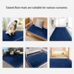 DSSHENGDS Living Room Home Decor Coral Fleece Area Rug,Modern Nursery Washable Kids Bedroom Rug,Girls Boys Soft Non-slip Soft Mat,2cm Thick Kids Carpet-E-60 * 100cm - Image 4