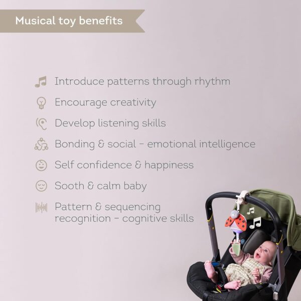Taf Toys Music & Light Ladybug Take Along Toy. Portable Baby Musical Hanging Toy. Newborn Sound Soother. Compact Travel Mobile. Easily Attaches to Pram. Suitable for Baby Boys & Girls from 0 Months - Image 4