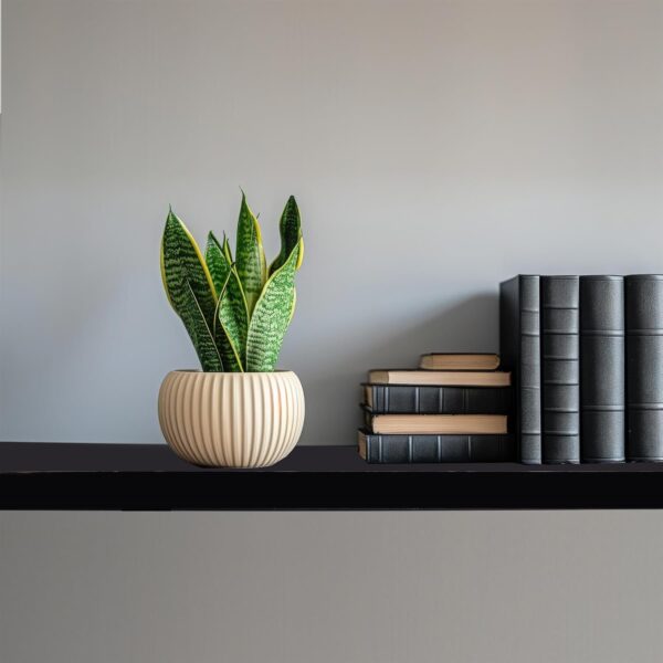 Shelfinity Set of 3 Black Floating Shelves for Wall | 80cm High Gloss Modern Wall Shelves | for Bedroom Living Room Bathroom Kitchen Office | Floating Shelf Unit Ideal for Display & Storage - Image 4