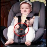 Child Car Seat Toddler Harness Clip Fixed Lock Buckle 5PT 5 Point Adjustable Strap Safety Harness Locking Buckle Clip for Pram Buggy Electric Cars Kid Pushchair - Image 5