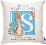 KRAFTYGIFTS Personalised Christening Gift Rabbit Cushion Cover Baby Boy Girl Baptism Pillow PR (Baby Boy PR01)