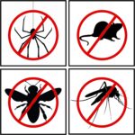 Rodent, Spider & Insect Repellent. Makes 30+ litres. Safe for Kids & Pets. Stops 100s of Pests & Bugs. 100% Natural Peppermint, Lavender & Citronella Essential Oil. Humane, Ultra-Effective & Safe. - Image 4