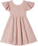Beganly Girls Elegant Lace Princess Dress Toddler Vintage Pom Pom Flutter Sleeve Party Dresses - Image 2