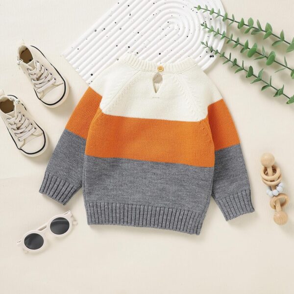 Baby Toddler Knitted Pullover Kids Girls Boys Cartoon Fox Print Graphic Color Block Patchwork Long Sleeve Cable Chunky Crew Neck Warm Cotton Acrylic Button Oversized Knit Jumper Casual Sweater - Image 3