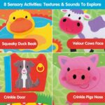 Galt Toys, Playnest - Farm, Baby Activity Center & Floor Seat, Ages 0 Months Plus - Image 2