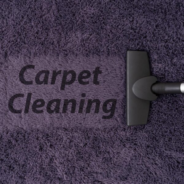 D. Goideal Oval Shaggy Bedroom Rug 2.6 x 5.2 Feet Fluffy Area Rugs for Girls Boys Kids Room Nursery Floor Carpet Home Decoration, Grey-Purple - Image 7