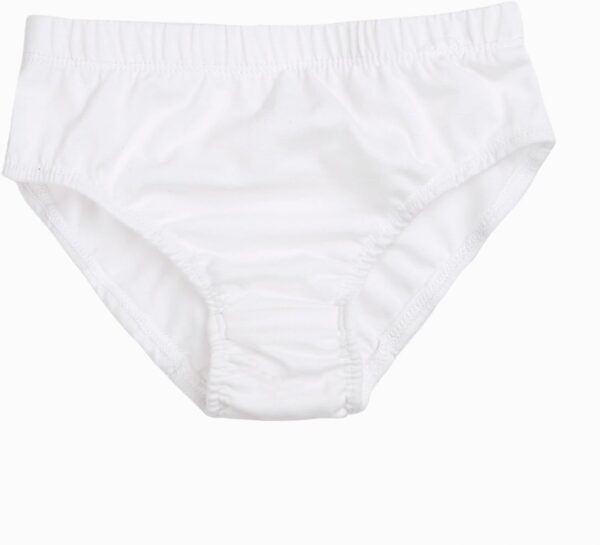 CHICTRY Infant Baby Girls Dress Embroidered Christening Baptism Gowns Flower Girl Dress with Bloomers - Image 5