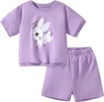 Toddler Girls Summer Short Outfits Clothes Set Kids Unicorn Bunny Animal Print Short Sleeve Cotton T-Shirt Dresses Tops and Shorts 2 Piece Crewneck Sleeveless Clothing Set Age 1-7 Years Old