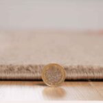 Rugs4sale Vogue Beige 1.4cm Thick Pile Modern Area Rug Living Room, Bedroom, Office And Home Decor l Ideal For Kids Room, Dining Hall, Indoor/Outdoor Carpet Mat (Beige/Terracotta-60x120cm) - Image 4