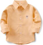 Aeslech Big Boys' Long Sleeve Button Down Cute Rabbit Casual Dress Easter Shirt