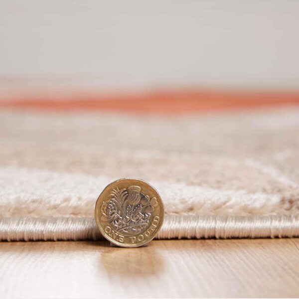 Rugs4sale Vogue Beige 1.4cm Thick Pile Modern Area Rug Living Room, Bedroom, Office And Home Decor l Ideal For Kids Room, Dining Hall, Indoor/Outdoor Carpet Mat (Beige/Terracotta-120x170cm) - Image 2