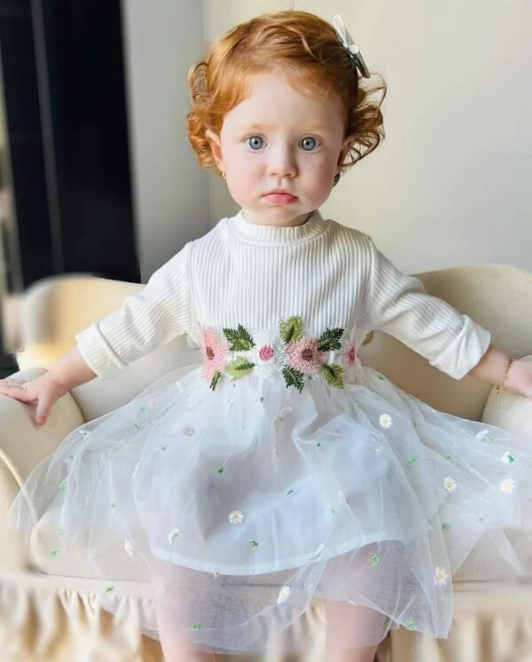 Tearfuty Baby Girl Clothes Dress Long Sleeve Mesh Tulle Dress - Image 6